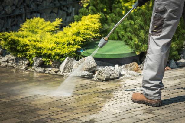 Best Gutter Cleaning  in Gate City, VA