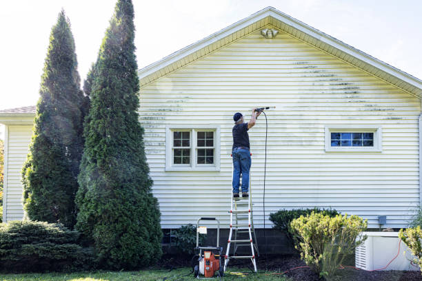 Animal Enclosure Cleaning in Gate City, VA